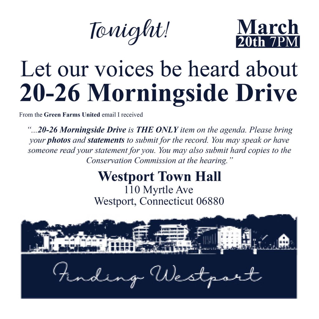 Information about town meeting 20-26 Morningside Drive