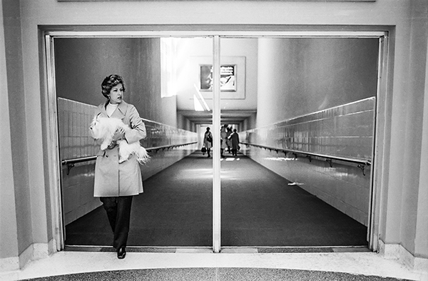 Woman Arriving With Dog, San Francisco, Arthur Nager, 1975